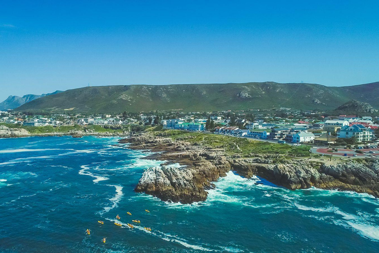 From Cape Town: Hermanus Whale Watching Full Day Tour default