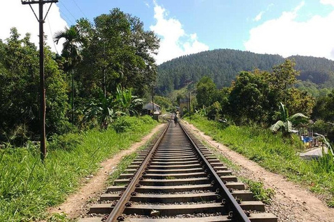 Explore o charme de Ella: Traslado de Tuk Tuk até a Nine Arch Bridge