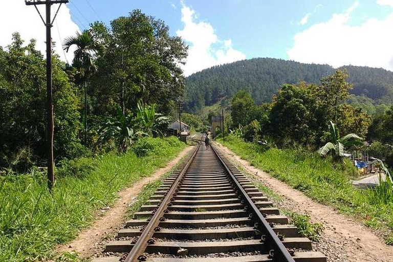 Entdecke den Charme von Ella: Tuk Tuk Transfer zur Nine Arch Bridge