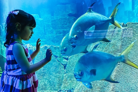 Aquarium de Paris: dagticket