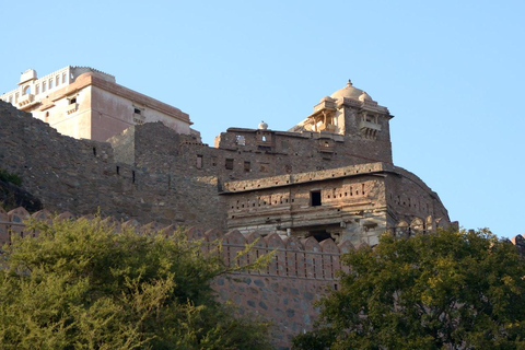 Excursion d&#039;une journée à partir d&#039;Udaipur : Fort de Kumbhalgarh et temple de Ranakpur