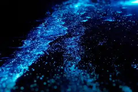 Bioluminescence Night Paddle