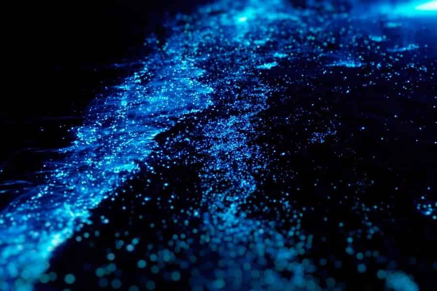 Biolumineszenz-Nachtpaddeln. Foto: GetYourGuide