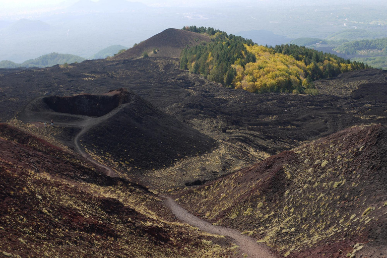 From Catania: Etna tour by Panoramic BusCatania - Nicolosi - Panoramic Bus Etna