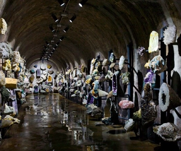 Porto: Tour del museo sotterraneo Aliança