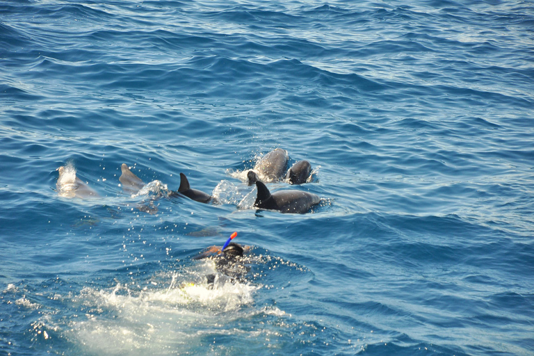 Hurghada: Isola Giftun di lusso con snorkeling/pranzo e massaggioTour da: Sahl Hasheesh/Makadi Bay/Gouna/Safaga/Soma bay