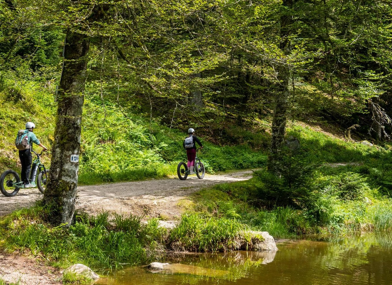 Panoramisk tur i La Bresse på elektrisk løbehjul med aperitif