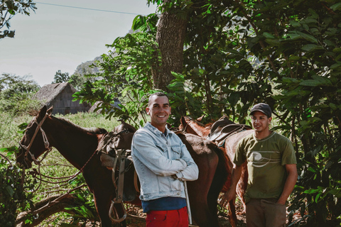Goyave: Tropical Horseback Ride with River Crossing