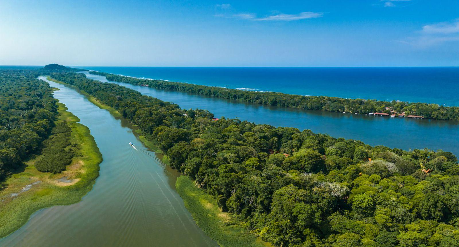 Ab San José: Nationalpark Tortuguero Tagestour & Bootstour