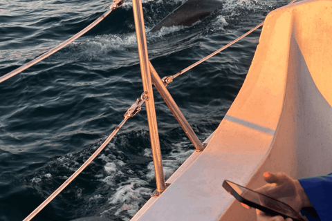 马里纳德尔雷：1小时游船之旅玛丽娜德尔雷：1小时游船之旅