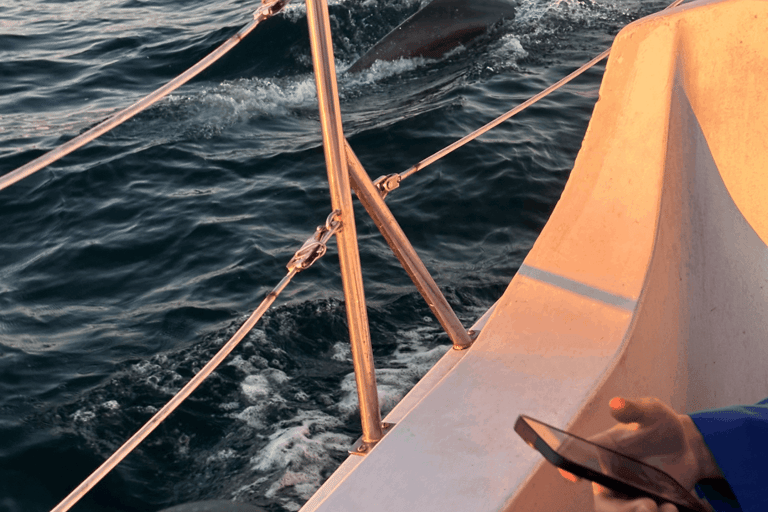 马里纳德尔雷：1小时游船之旅玛丽娜德尔雷：1小时游船之旅