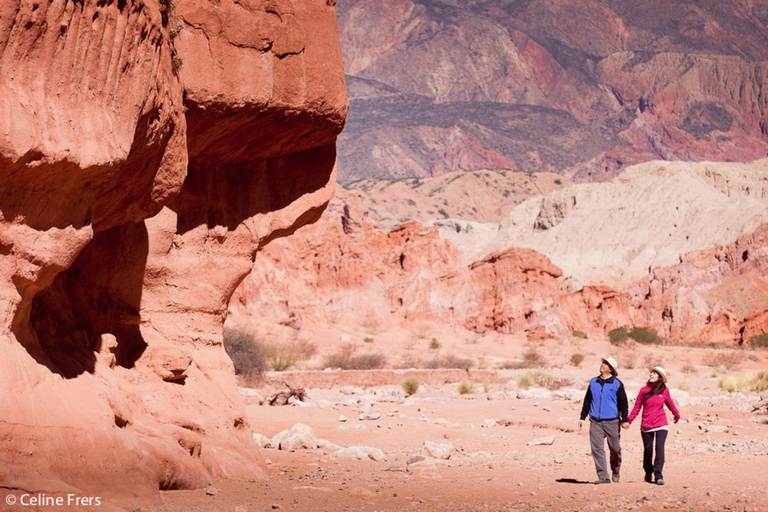 From Salta: Day Trip to Cafayate