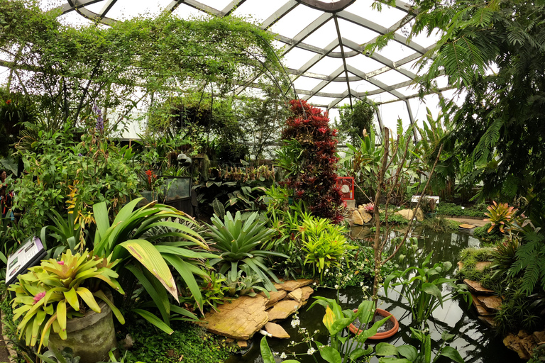 Bogotá: Botanical Garden Sightseeing Tour and Visit to the Paloquemao Market with Fruit Shared Sightseeing Tour + Tickets + Fruit
