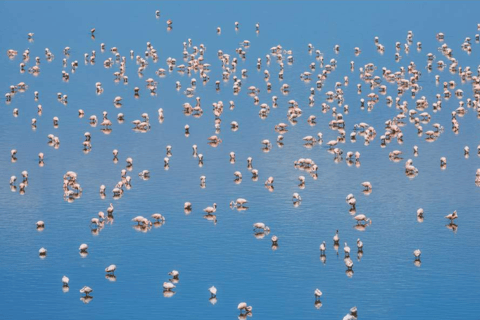 Arusha: Lake Natron 3-Day Tour with Maasai Village Visit