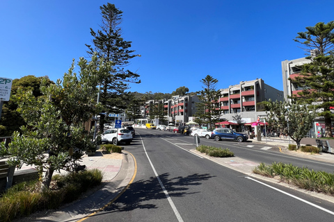 Melbourne: Great Ocean Road Full Day Private Tour Join-in small group tour （door-to-door pick-up, max 12 pax)