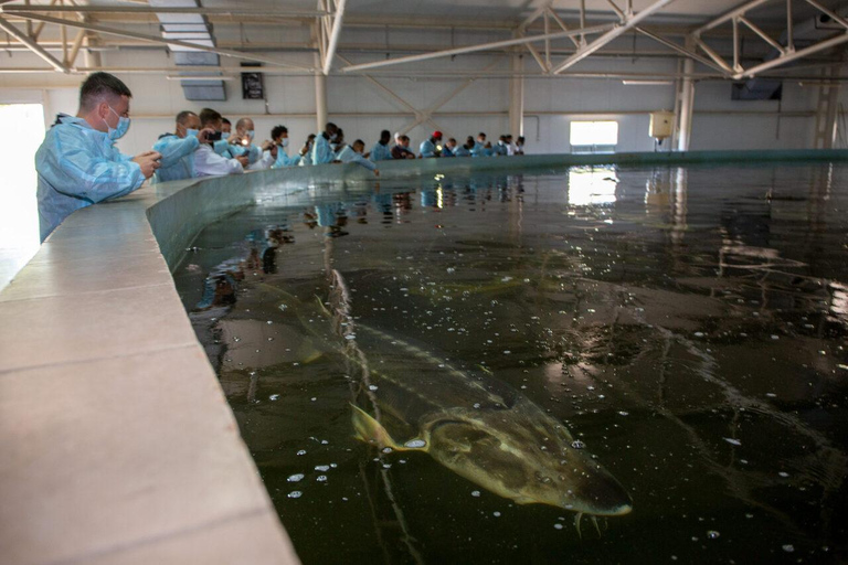 Transnistria Tour: Sturgeon, Black Caviar & Bender Fortress