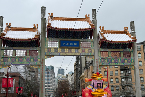 Vancouver: Hop-On Hop-Off City Tour by Car, Small Group