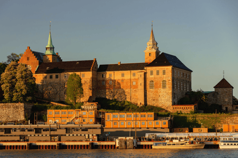 Oslo : Croisière touristique dans le fjord d'Oslo en bateau électrique