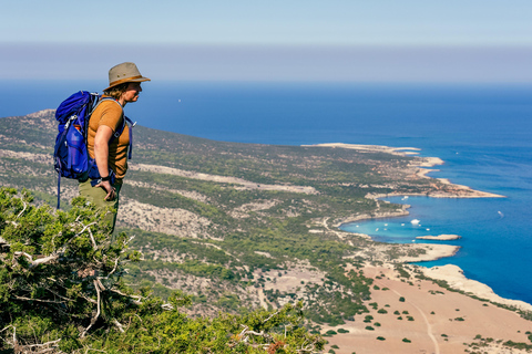 Vanuit Paphos of Limassol: Akamas Nationaal Park JeepsafariVanuit Paphos: Akamas Nationaal Park Jeepsafari