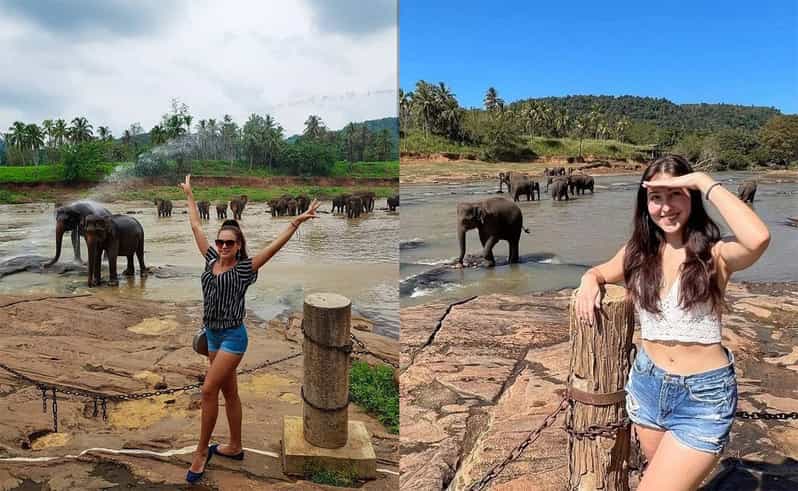 De Colombo: Pinnawala & Fábrica de chá com entrega no Hotel Kandy