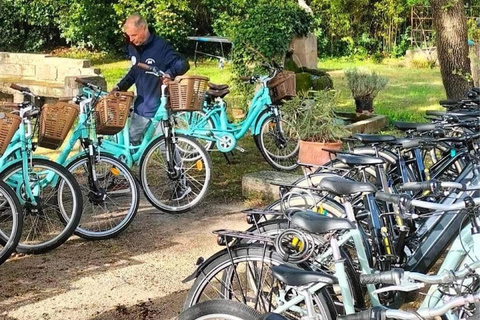 Torreilles : Location de vélosMTB Rando ADRIS S / M / L