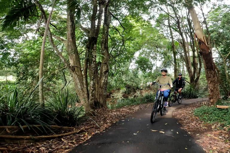 Sunshine Coast: Tour guiado de e-Bike em Maleny MagicPasseio de bicicleta elétrica Maleny Magic