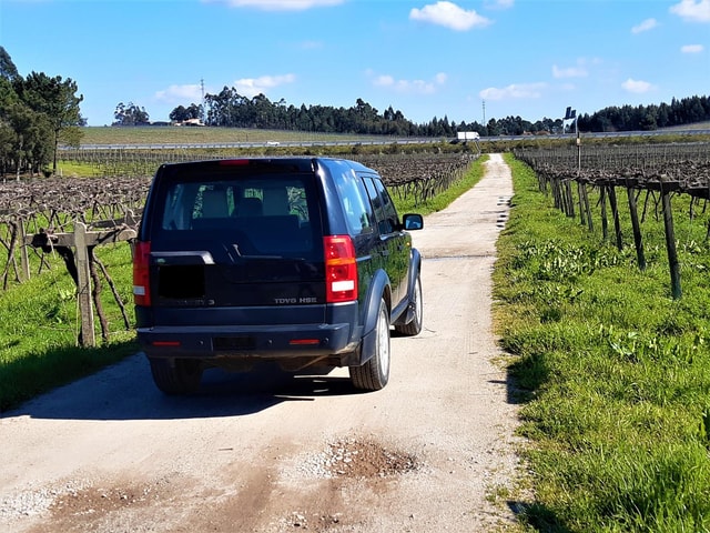 4x4 & Vinho Verde with transportation to the activity