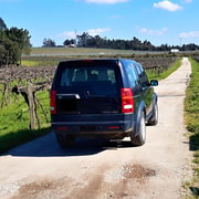 4x4 & Vinho Verde com Transporte para a atividade