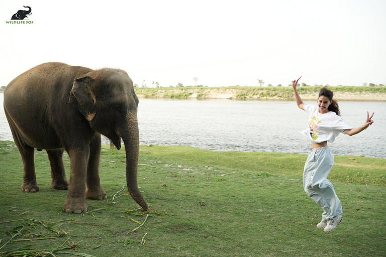 Taj Mahal-tur samma dag med SOS Elephant Sanctuary