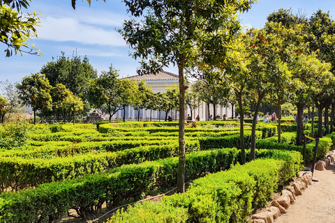 Rome: Colosseum, Roman Forum & Palatine Hill Tour Colosseum, Forum, and Palatine Hill Guided Tour in Italian