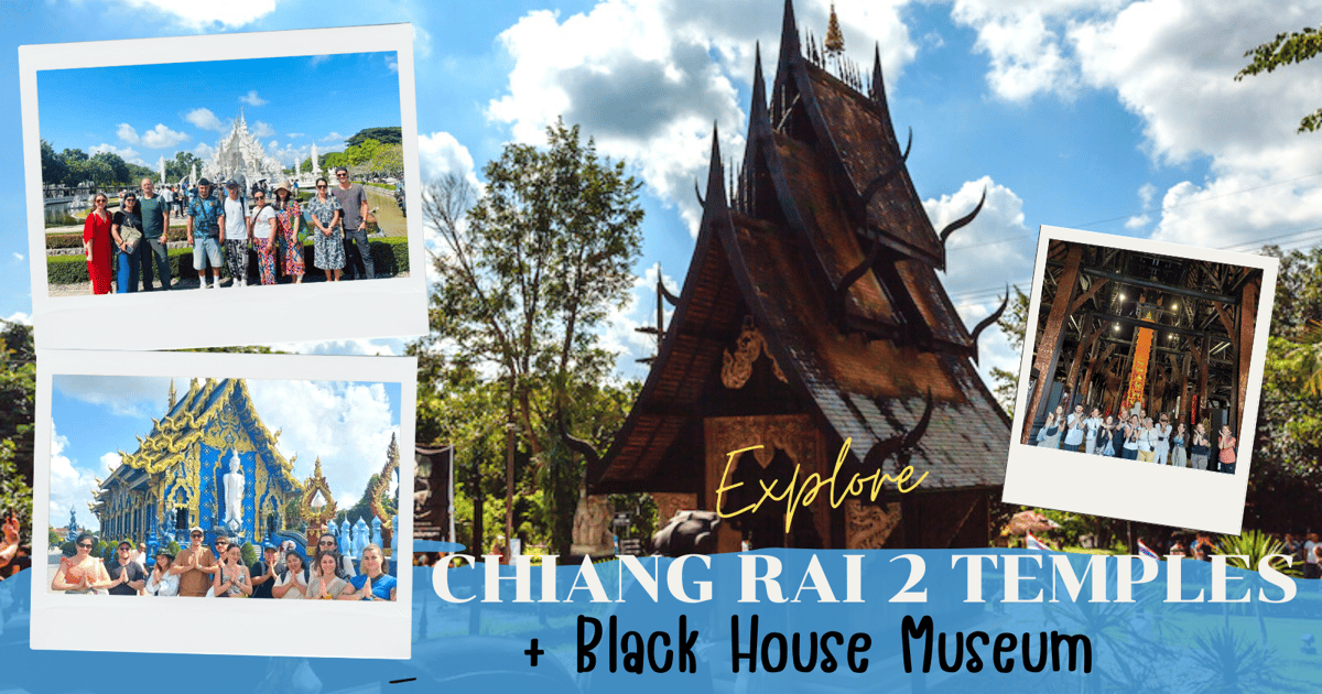 From Chiangmai: Chiang Rai 2 Temples +Black House Museum | GetYourGuide