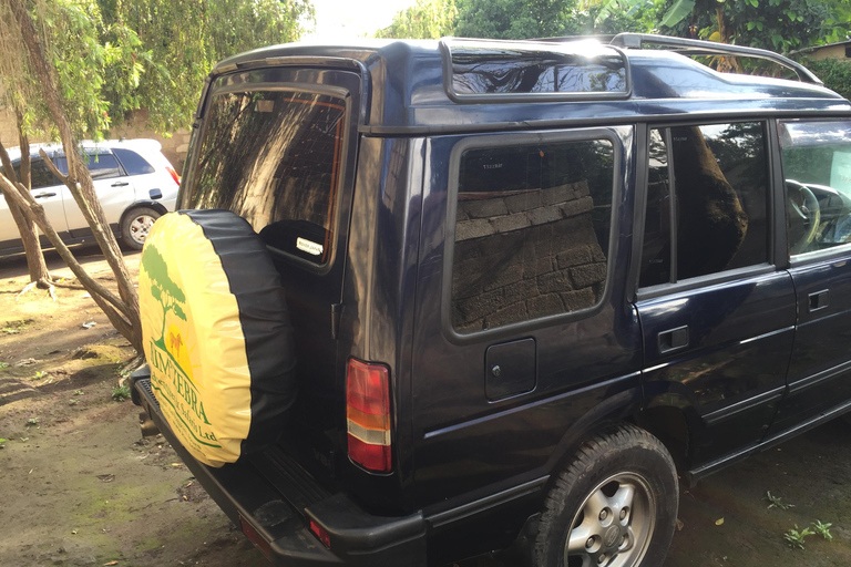 Viagem privada de 1 dia para a vida selvagem Serval e as fontes termais ChemkaViagem privada de 1 dia para ver a vida selvagem em Serval e as fontes termais de Chemka