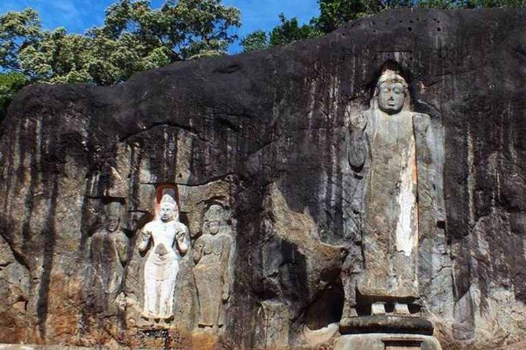 Ella: Udawalawe Safari, Mulkirigala Temple & Hiriketiya Drop