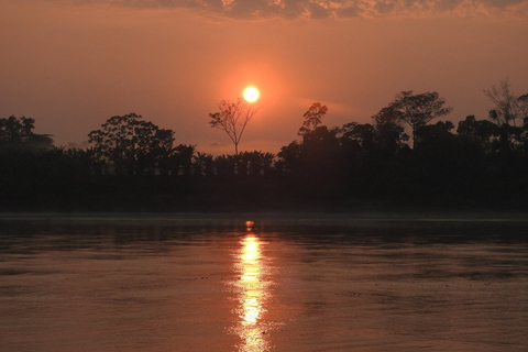 Aventure de 4 jours dans la jungle amazonienne