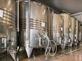 Chieti: tour sostenibile della cantina con degustazione di vini e prodotti tipici