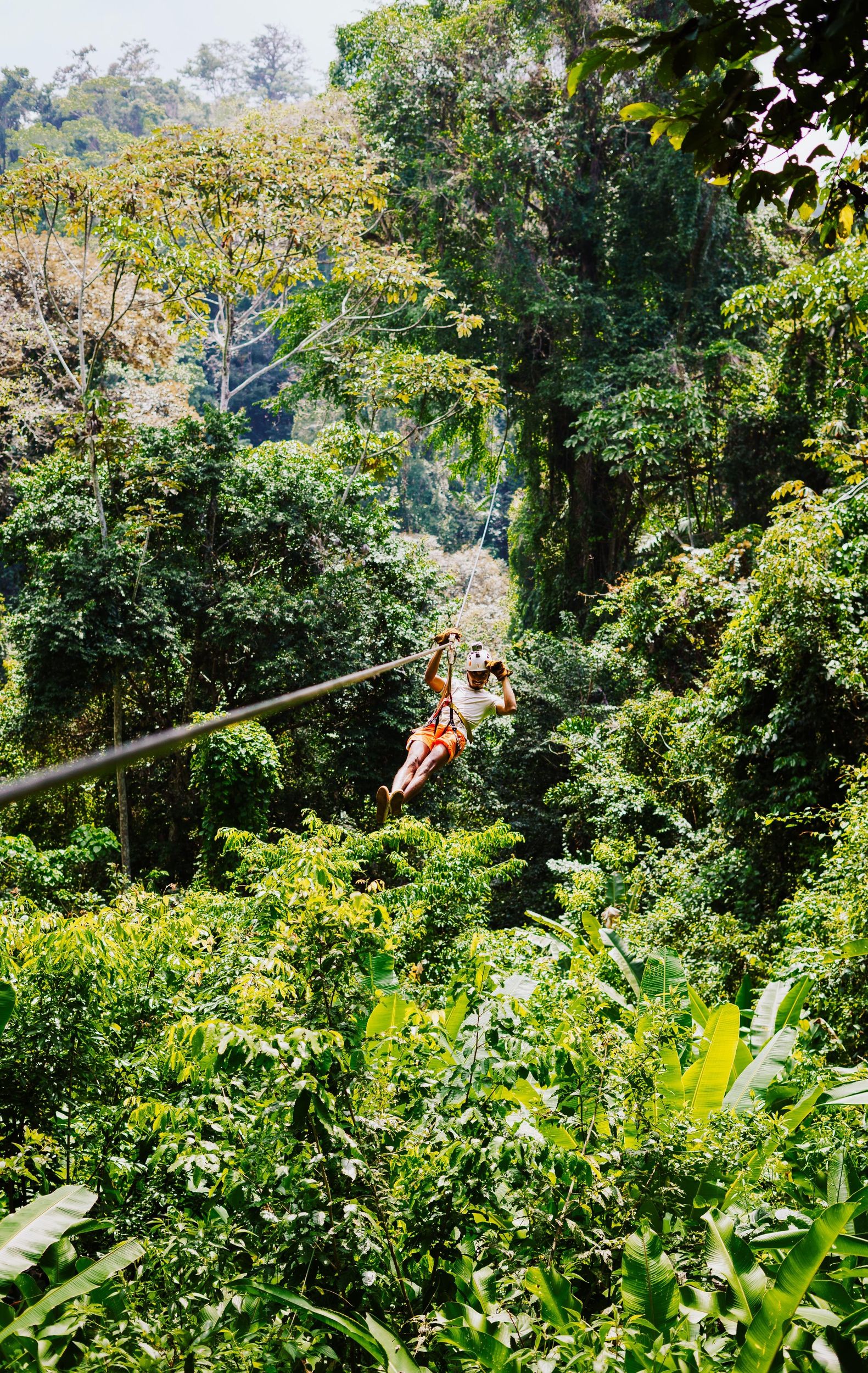 Monteverde: Längste & höchste Extrem-Zipline mit Transfer