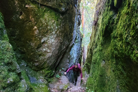 Oaxaca: Sierra Norte Hike & Indigenous Village