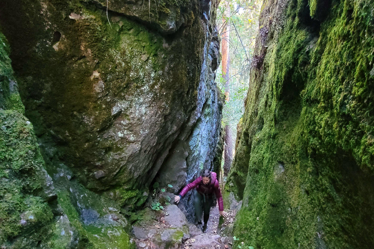 Oaxaca: Sierra Norte Hike & Indigenous Village