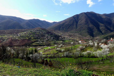 From Tirana/Durres: THINK GLOBAL, ACT AS A LOCAL