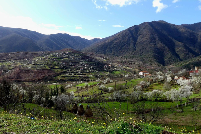 From Tirana/Durres: THINK GLOBAL, ACT AS A LOCAL