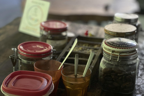 Minca: Coffee Farm and Hidden Waterfall Tour with Lunch