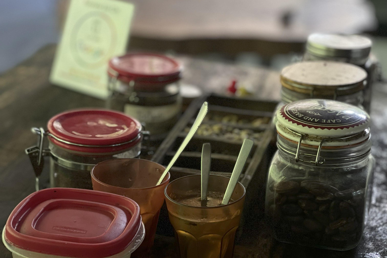 Minca: Coffee Farm and Hidden Waterfall Tour with Lunch