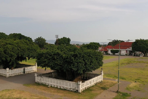 Borobudur to Malioboro: Stones, Spires & City Lights