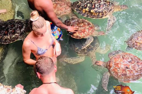 Nungwi: Swim with Sea Turtles at Sanctuary with Transfer Private Tour with Hotel Transfer Anywhere in Zanzibar