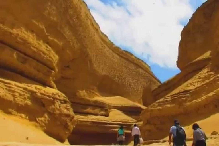 Van Ica | Sandboarden in de Ica woestijn bij zonsondergang