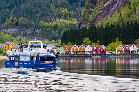 De Bergen : Croisière panoramique dans les fjords jusqu'à MostraumenDepuis Bergen : croisière panoramique sur le fjord à Mostraumen