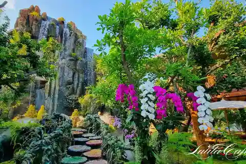 Chiang Mai: Lalita Cafe og de hvite, blå og store Buddha-templene