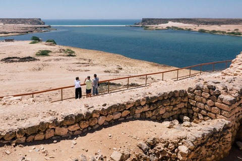 Salalah Bird Watching: Darbat, Rori & Awqad