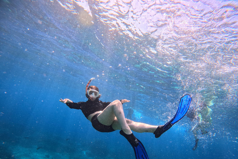 Nusa Penida: Snorkeling Tour to Manta Point or Manta Bay Shared Snorkeling Manta Point Meet us in Nusa Penida