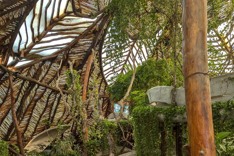 Tulum Instagram: Giant Sculpture, Cenote Atik & City of Arts